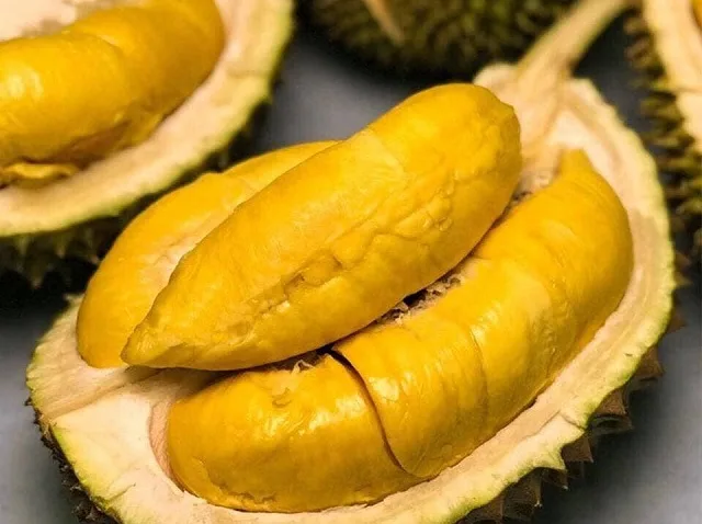 Cắt mí mắt ăn sầu riêng được không? Kiêng trong bao lâu? Cắt mí mắt ăn sầu riêng được không? Kiêng trong bao lâu?